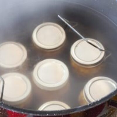 A Guide to Using Steam Canners